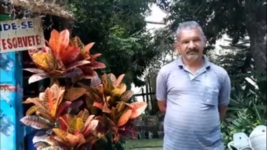 SEMENTEIRA DONA QUIT&Eacute;RIA NO PAU POMBO